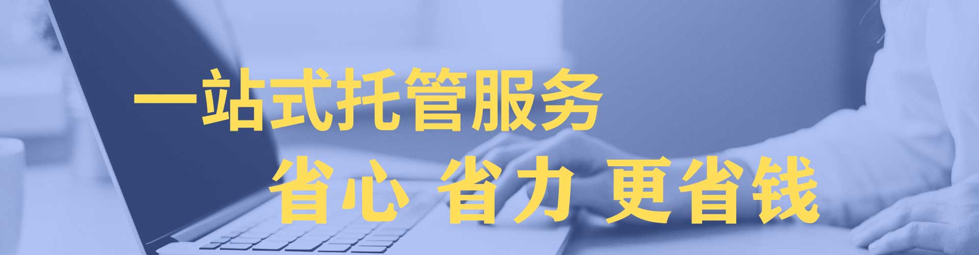 金林百度优化推广